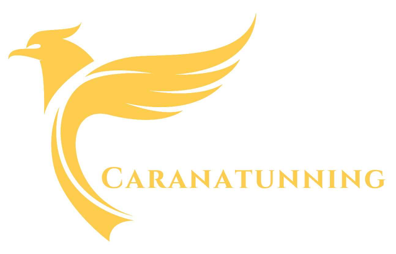 کارانا تیونینگ